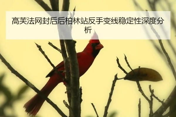 高芙法网封后后柏林站反手变线稳定性深度分析